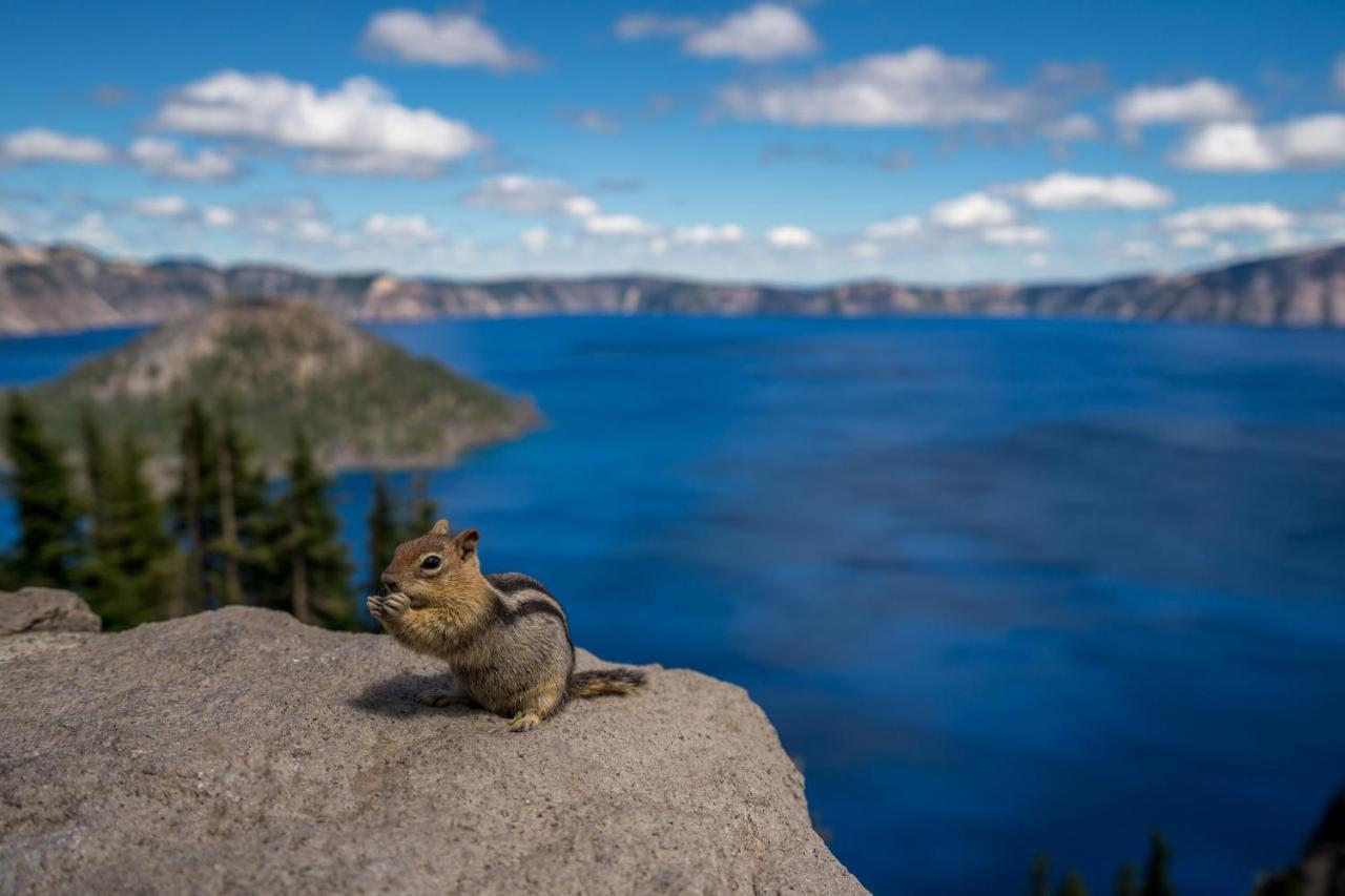 Crater Lake Resort Fort Klamath Kültér fotó